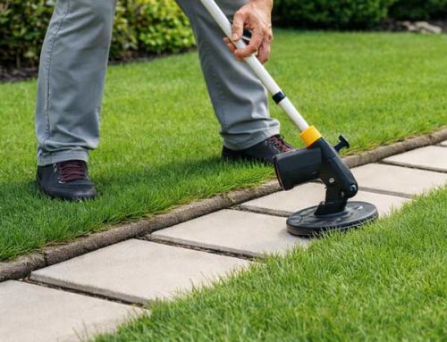 Trimming & Edging Services in Cape Cod MA | SG Stone & Garden